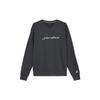 Jordan Sweatshirts Men's Black Crew Neck Moderate Regular HQ4889-060