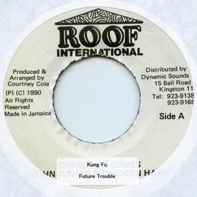 7inch Record FUTURE TROUBLE - Kung Fu Roof Internatio 1994 Jamaica Reggae, Ska & Dub