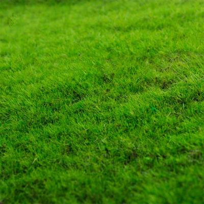 Accessories DIY Handmade Model Turf Artificial 20x25cm