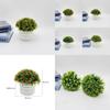 Artificial Starry Sky Hemisphere Plant Pot With Plastic Material For Wedding Decor And Indoor Garden
