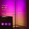 RGB Minimalist Corner Floor Lamp with LED Breathing Light
