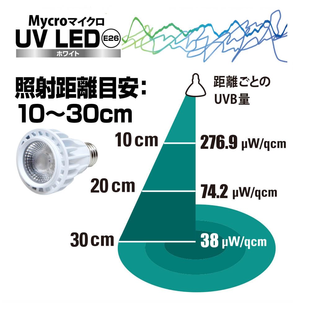Zensui Micro UV LED E26 White Strong Stand Light Set  LED UV Light for ReptilesAmphibians