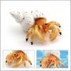 Simulation Marine Animal Pvc Hermit Crabs Sculpture For Kids Learning And Decorative Collection
