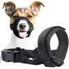 Cães – Produtos para treino de animais
