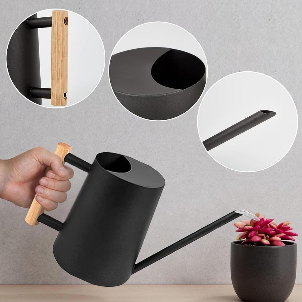 Annaffiatoio Mini da Interno da 1L per Piante da Casa, Annaffiatoio Sprinkler in Acciaio Inossidabile per Bonsai, Vaso Piccolo da Interno ed Esterno con Beccuccio Lungo per Annaffiare Fiori per la Casa