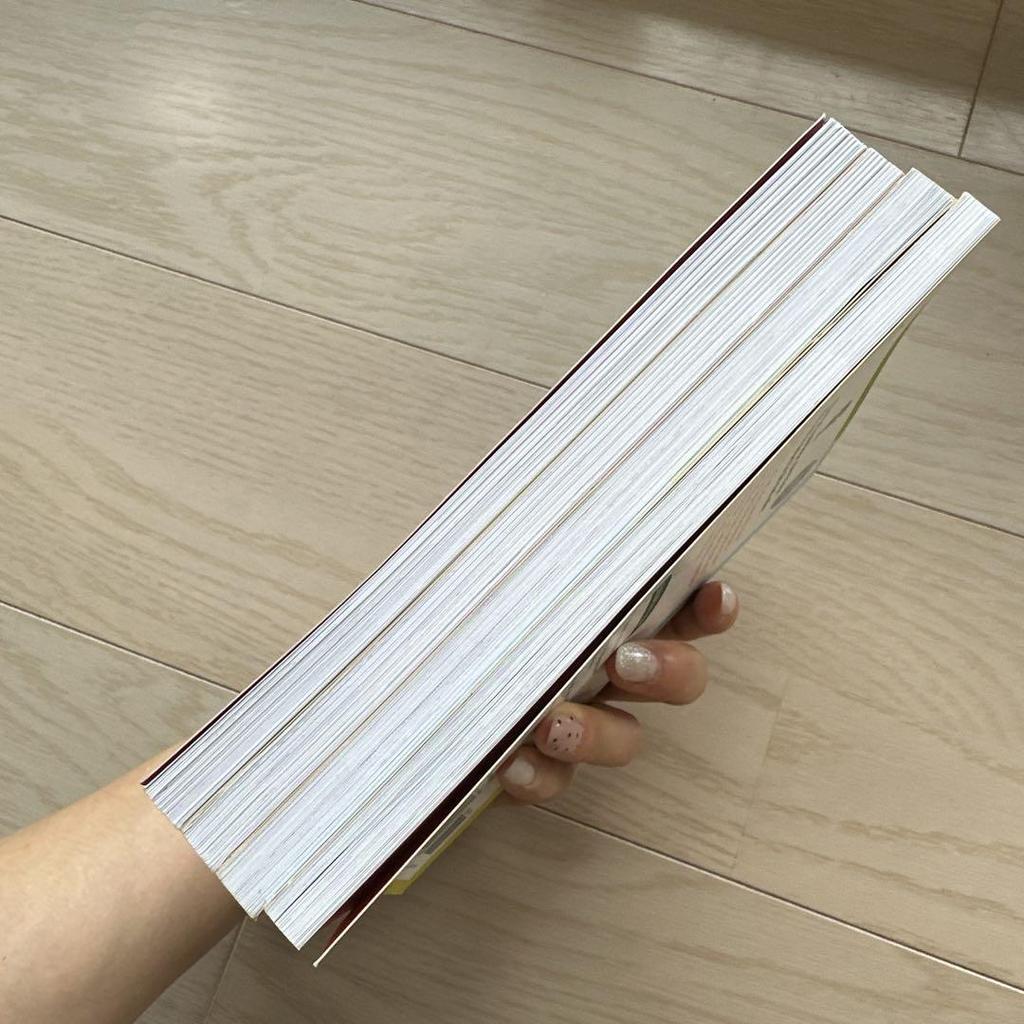 [USED] Ivy and Bean 4-book Set