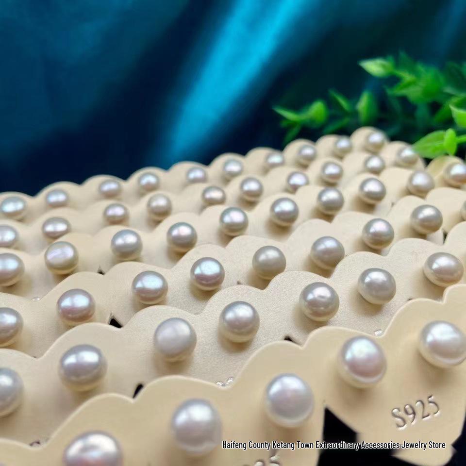 S925 Sterling Silver Earrings - Fashionable Niche Design with Diverse Styles