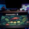 Model Kawaii Broască Pad pentru Mouse Pad Mouse Pad PC Gamer Accesorii Computer Mousepad Gaming Laptop Covor Covor Mare pentru Birou