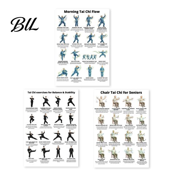 Elderly Fitness Program 3Pcs Seated Tai Chi Practice Poster for Seniors Balance Stability Training Core Lower Limb Strengthening Chair Home Sets