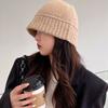 Outdoor Sunscreen Cap Autumn Winter Hat Fisherman Bucket Hat Korean Style Cap Knitting Wool Cap