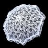 Elegant Lace Women's Lace Umbrellas Hollowed Out Wedding Decoration Props  Wedding Party Supplies