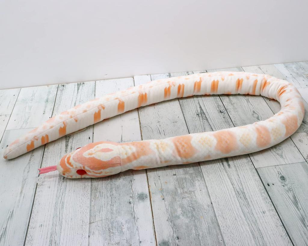 Șarpe de porumb de decolare (Albinos)