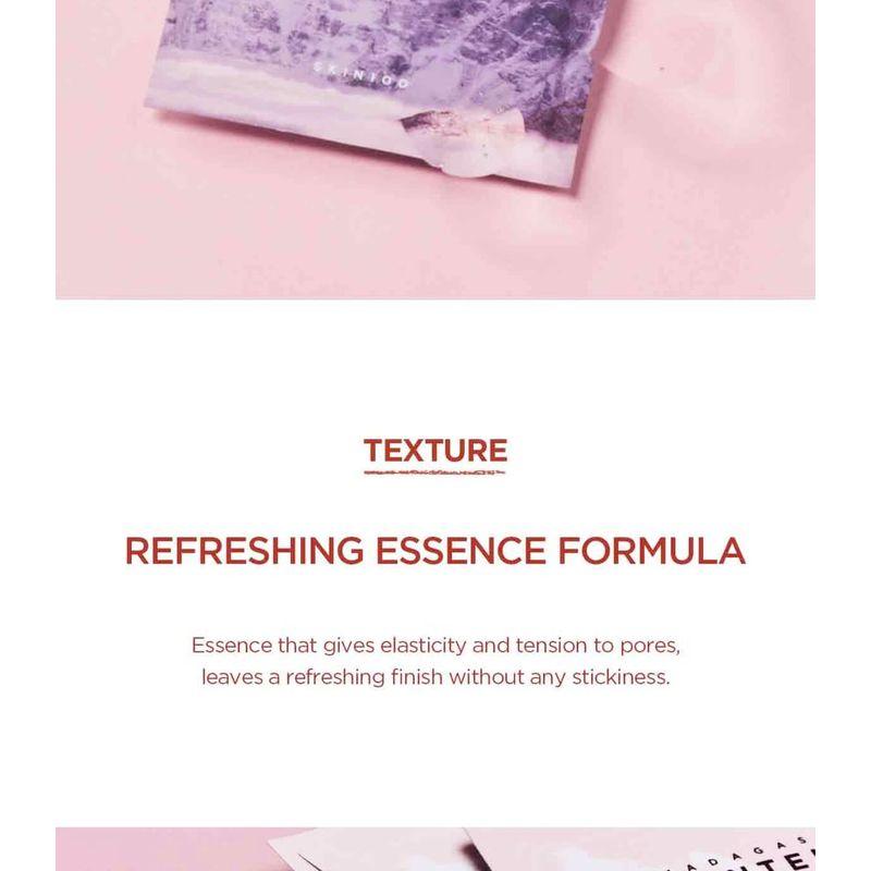 SKIN 1004 - Madagascar Centella Poremizing Clarifying Mask Set