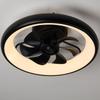 DC Motor Small Electric Ceiling Fan Light Household 6-Speed Strong Wind Ceiling Fan Indoor Remote Control Fan Lamp