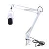 Gaming USB Microphone for PC Dynamic RGB Noise Cancellation Condenser Mic with     Boom Arm for Strming Podcast