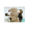 Takenoko Puchi Puchi Land Forest Friends Squirrel Plush Toy 58438