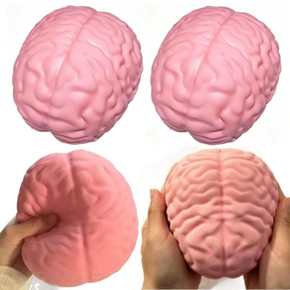 Slow Rising Brain Squishy Toy Moldable Big Brain Model Creative Fidget Toy for Adults Kids
