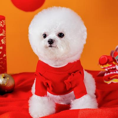 New Year's Model, Puppy Dog Clothes, Festive Lucky Cat, Warm New Year's Greetings, Two-legged Small Dog, Bichon Puppy, Pet Sweater