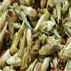 Specials Organic 100g Chinese Loose White Tea Pu Er Buds Wild Raw Puerh Silver Needle