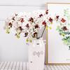 Realistic feel simulation Phalaenopsis hotel tape artificial flower ornament home, Phalaenopsis simulation flower