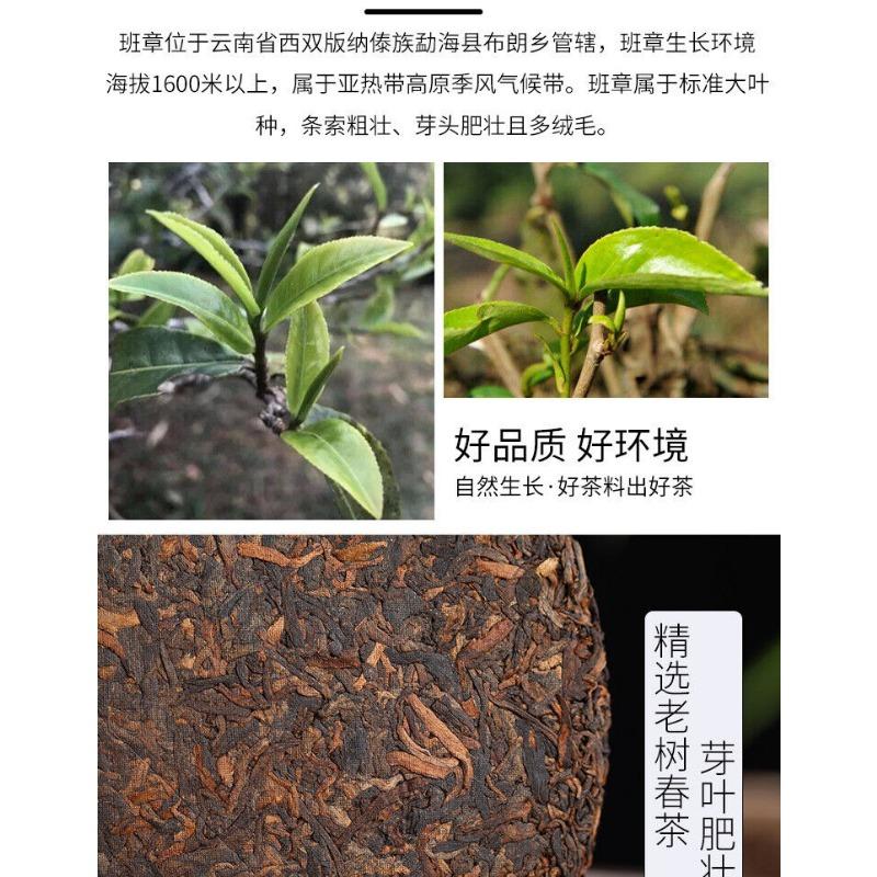 357г Юньнаньский чай Чай Пуэр Старый Бань Чжан Пуэр Чайный торт Чай с семью семенами — фото 7