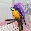 Warm Bird Hammock Shawl Nest Corner Parrot Blanket Windproof Pet Small Animal Hamster Hanging Tent Bird Cages Decoration