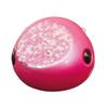 Daiwa Tairaba Kouga Bay Rubber Free Head 100g Kouga Pink Lure (DAIWA)