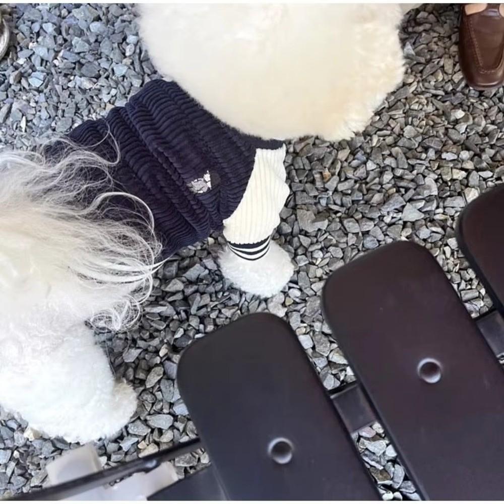 Warm Pet Baseball Jackets Fleece Puppy Spring Clothes Thickened Puppy Coat Pet Wear