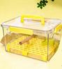Parrot Eco-friendly Wood & PET Square Portable Perch Anti-stress Semi-transparent Travel Box Indoor Outdoor Use Bird Supplies