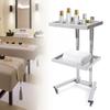 2-Tier Rolling Tray with Wheels, Stainless Steel Hair Salon Trolley with Storage Tray, Silver
