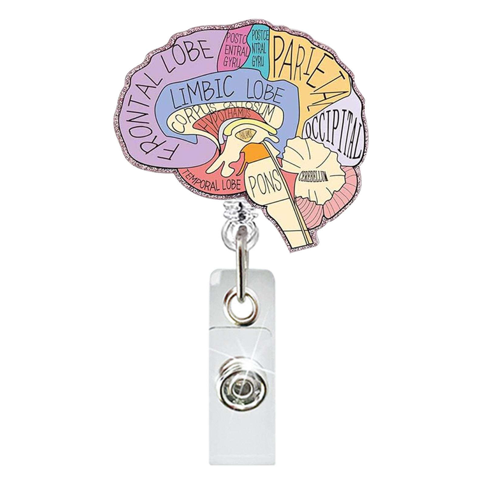

Medical Heart Lung Brain Acrylic Glitter Retractable Badge Reel Rotating Crocodile Clip ID Badge Holder for Doctor Nurse