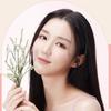 Nature Republic Daily Basic Palette-4 (Color Options)