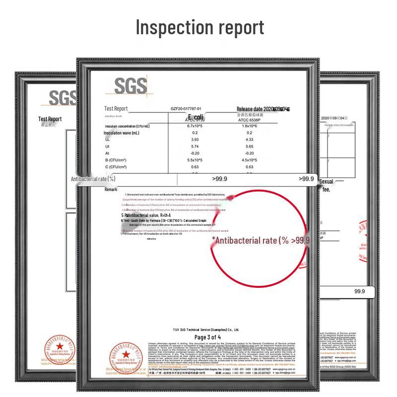 Chahua Ag+ Silver Ion Antibacterial Food Storage Container