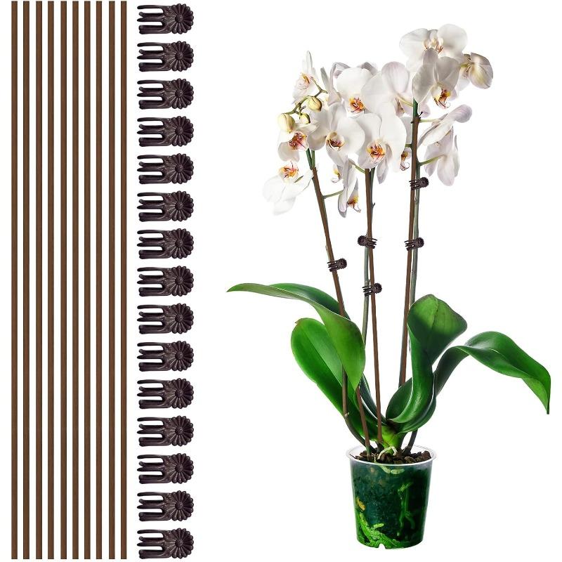 Set of 10 Plant Tutors with 15 Pliers, Flexible Sticks 45.7 cm High, Brown Orchid Pliers for Indoor and Outdoor Flower Growth, Roses, Amaryllis