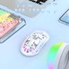 FREEWOLF Gaming Mouse A2 Transparent RGB Wireless Gaming Mouse with Transparent Digital 400mAh Adjustable Battery White, 2.4G/BT Connection, Case,