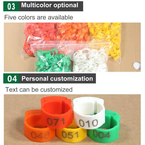 Yousheng 100Pcs Chicken Ring Adjustable Buckle Design Easy-assembled Duck Chicken Foot Ring for Marking