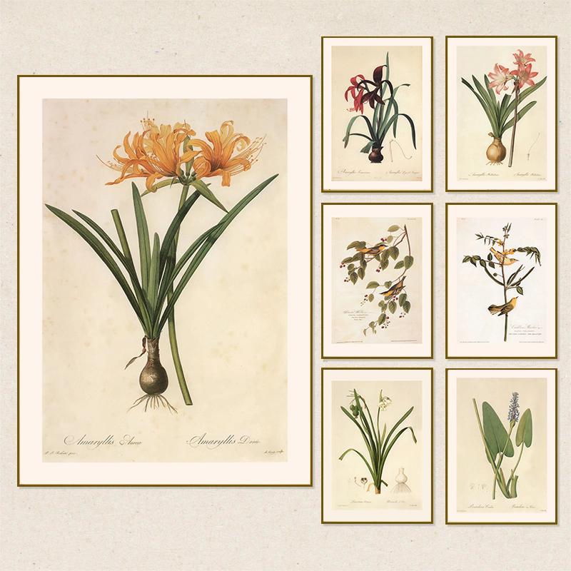 Pósters y Grabados Botánicos Vintage Color Melocotón Lirio de Barbados Crinum Pintura sobre Lienzo Arte de Pared Imagen para Decoración de Habitación Oficina