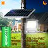 Intelamp Solar Light with Motion Sensor for Outdoor LED 170 Maximum Lumens of 2000 High High Solar Automatic 3 Intelligent No Electricity IP65