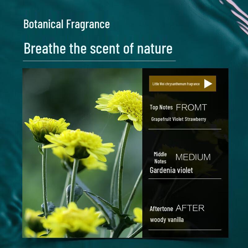 Baitai Seaweed Probiotic Anti-Dandruff Shampoo