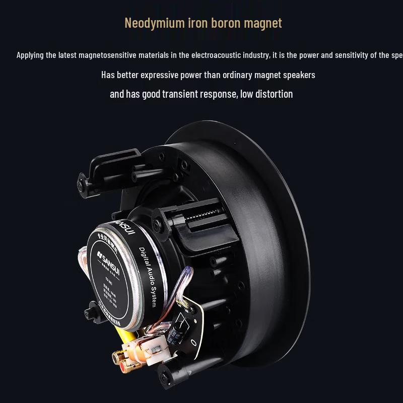 SANSUI T5 5.1 Channel Home Theater Ceiling Speaker System CN plug (adapter included)