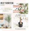 TUIYIDUO Artificial Olive Trees of 180cm Large Artificial Plants for Indoor and Outdoor Decor (Set 2, tall) -