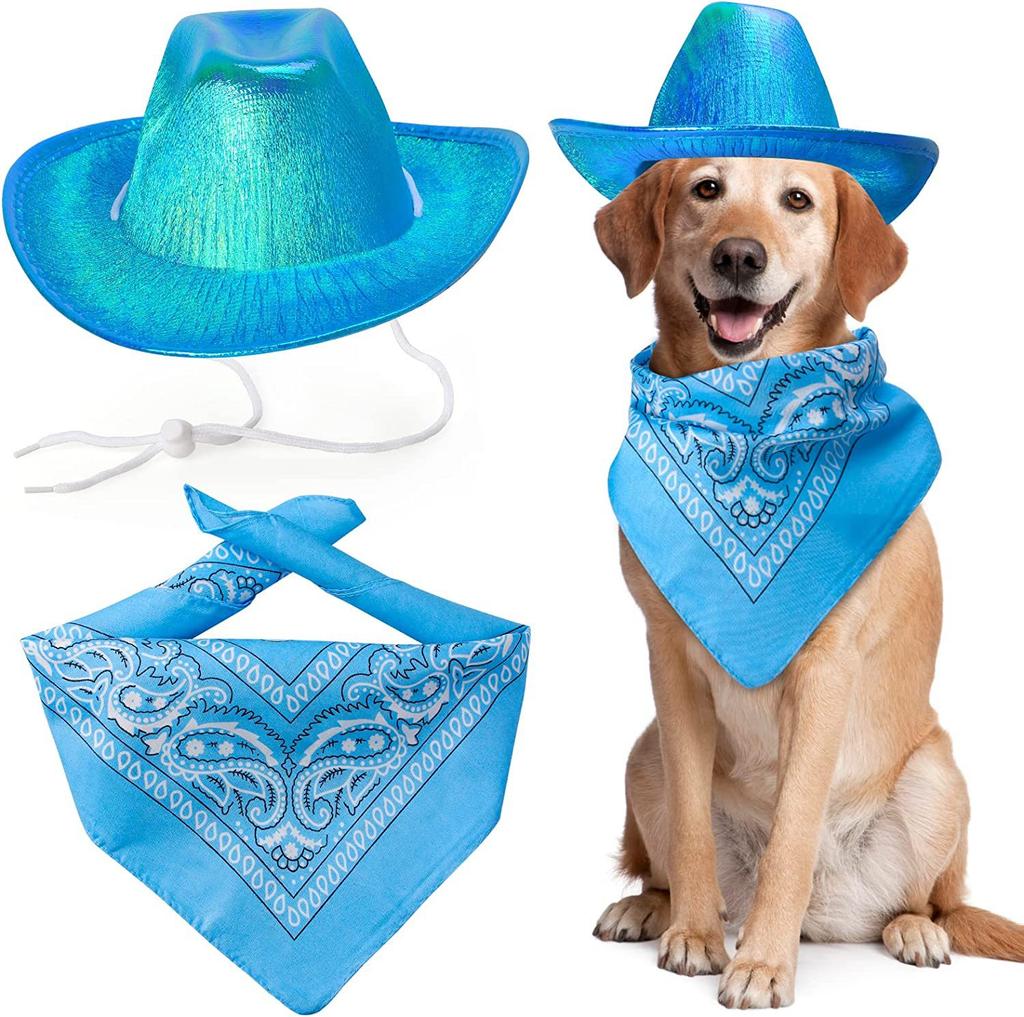 Pet Neon Shiny Space Cowboy Hat Clothing Set Dog Cat Symphony Cowboy Hat Western Cowboy Accessories