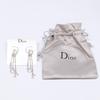 DIOR DIOR Logo Rhinestone Chain Swing earring SilverUsed