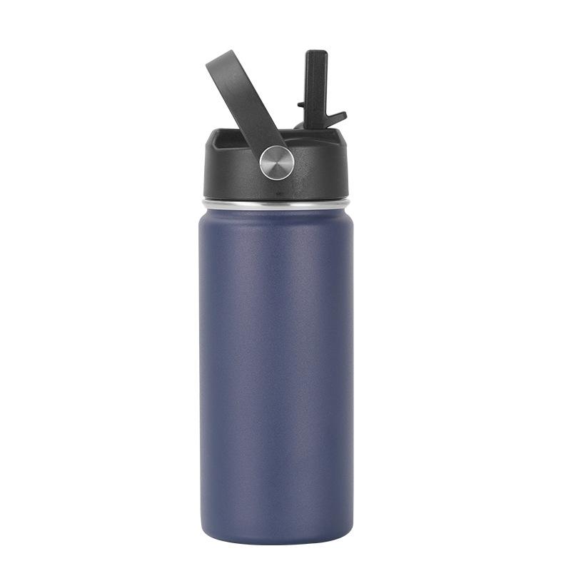 16oz 304 Stainless Steel Water Bottle, Double Wall Vacuum Insulated Sports Flask with Flip Straw Lid & Carry Handle