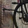Lishi Aluminum Alloy Bicycle Kickstand