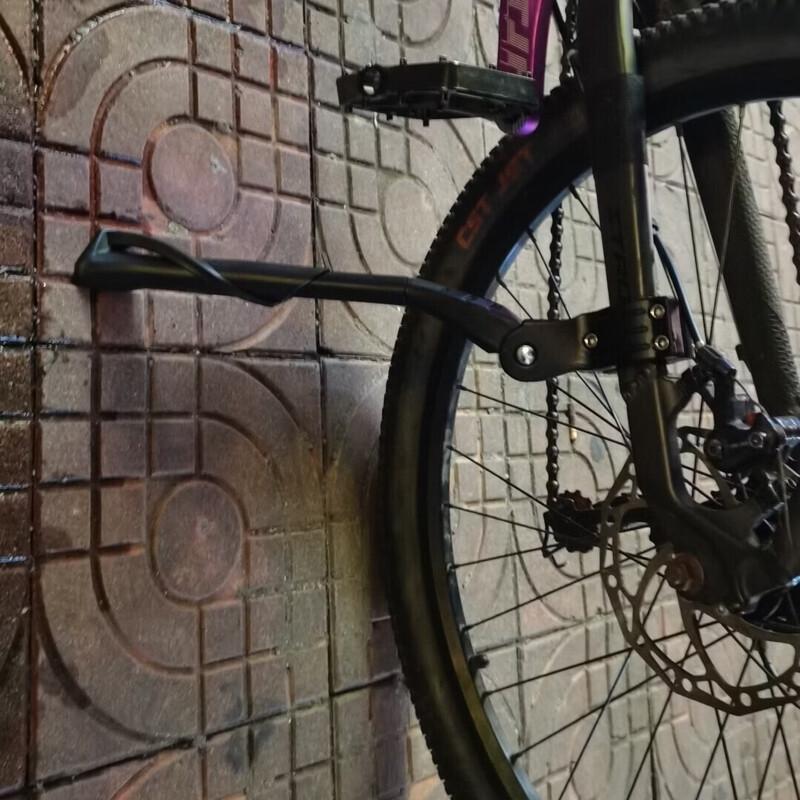 Lishi Aluminum Alloy Bicycle Kickstand
