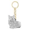 Clear Pet Hair Memorial Storage Box Keepsakes Keychain For Dog Lover Pet Furs Collector Keychain Accessories Gift