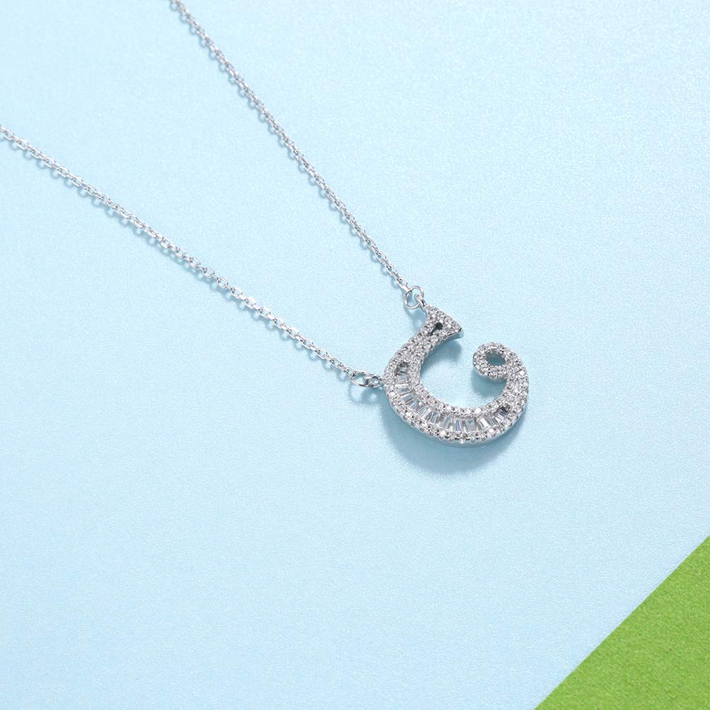 AIKS Women's Necklace, Sterling Silver 925, Zirconia Alphabet Pendant, Sterling Silver Chain, Initial Necklace, Valentine's Day Fashion Accessory