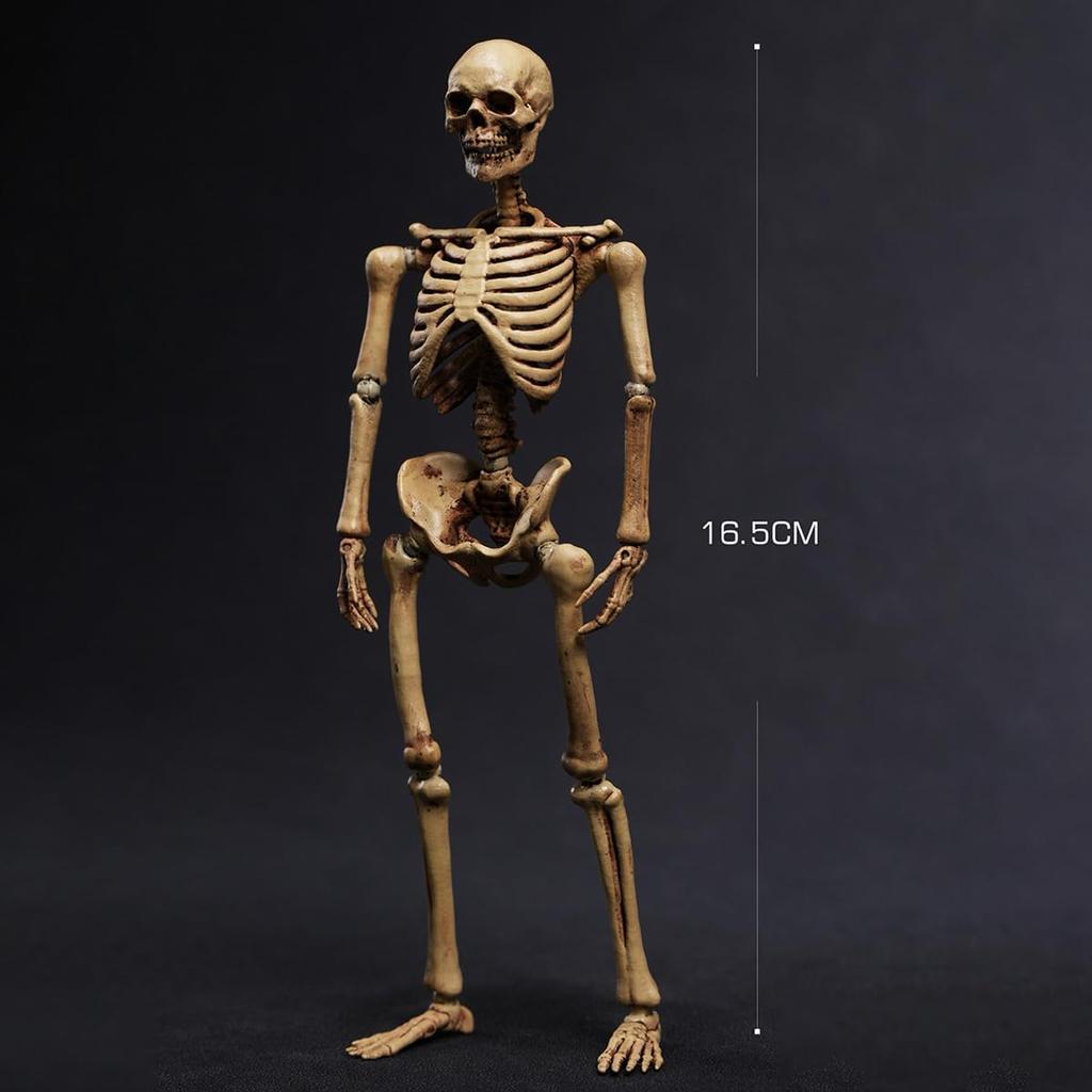 HiPlay 101TOYS 1/12 Scale Skeleton Frame Body NO.ES002 Original Color Version Body Figure Super Articulated