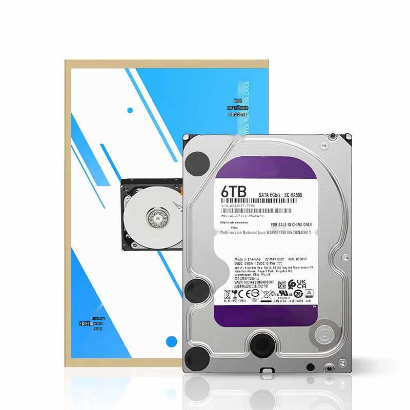 EAGET MG01 WD10EJRX 3.5-inch SATA Surveillance Hard Drive